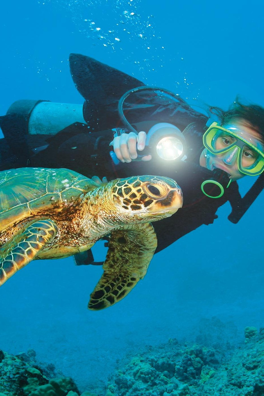 Antalya/ Belek Scuba Diving Tour With 2 Time Dive & Lunch - Time on the spacious boat between sessions