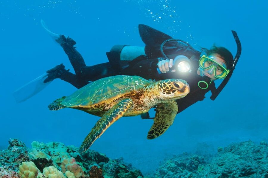 Antalya/ Belek Scuba Diving Tour With 2 Time Dive & Lunch - The 10 to 15-meter second session