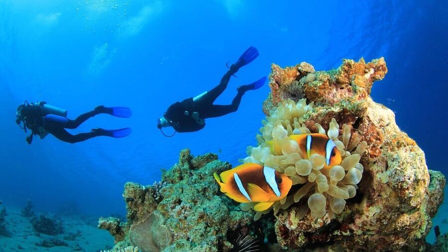 Antalya/ Belek Scuba Diving Tour With 2 Time Dive & Lunch - What to pack and what to expect