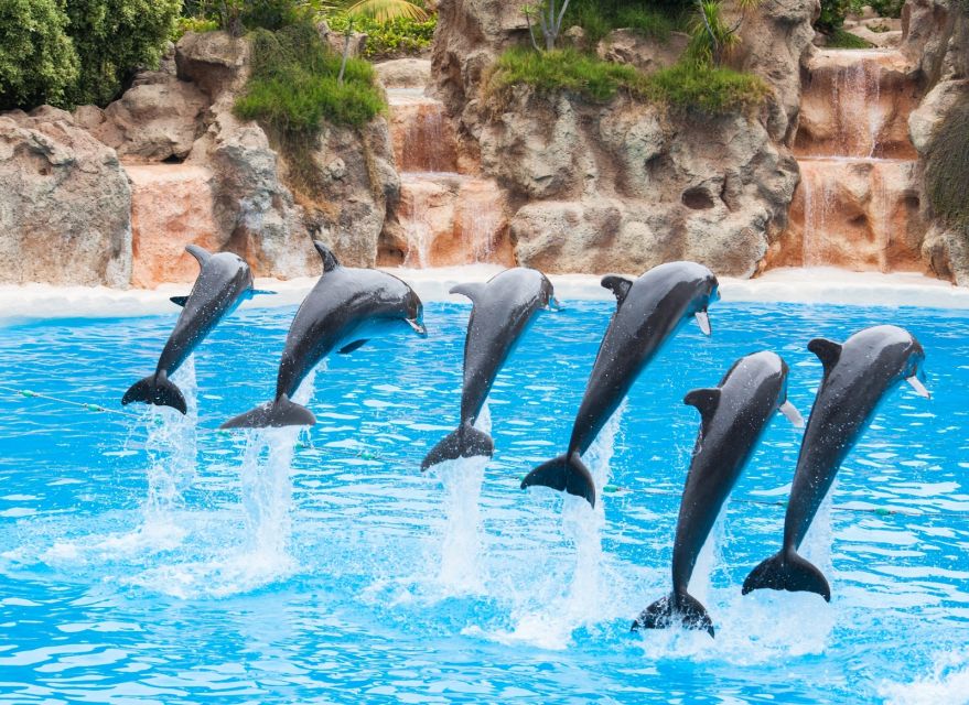Antalya/Belek: The Land of Legends Theme Park with Transfer - Waterfront Kingdom: animals, aquariums, and shows