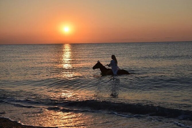 Antalya Horse Riding On Beach And Through The Forests For 2 Hours - From Antalya pickup to the riding stable