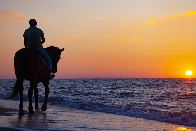 Antalya Horse Riding On Beach And Through The Forests For 2 Hours - Riding along Lara Beach