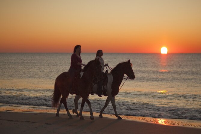 Antalya Horse Riding On Beach And Through The Forests For 2 Hours - Through the pine forest