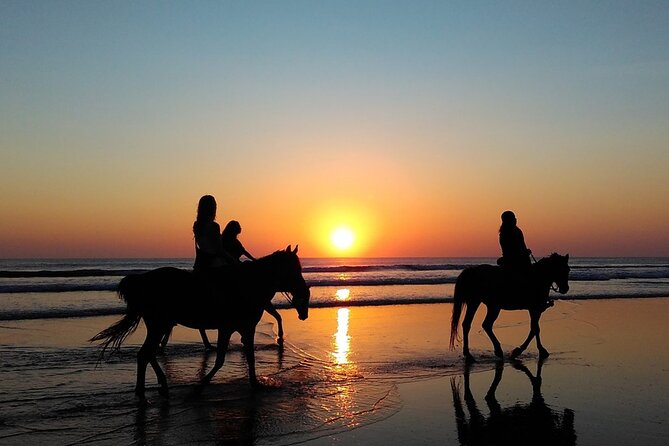 Antalya Horse Riding On Beach And Through The Forests For 2 Hours - The biggest question: 70 minutes or two hours?