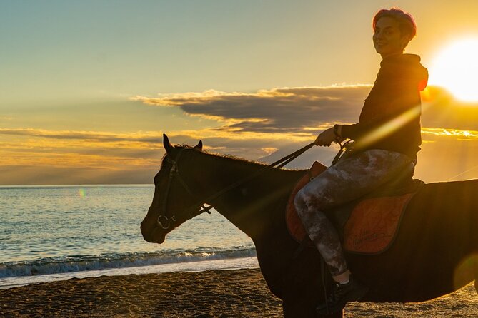 Antalya Horse Riding On Beach And Through The Forests For 2 Hours - Meeting the horses and getting ready