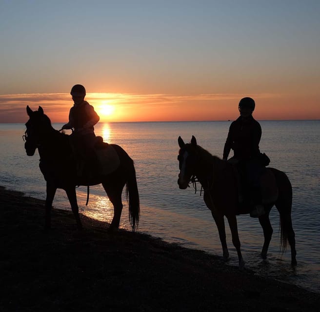 Antalya: Horseback Riding on the Beach and in the Forest - A simple preparation list