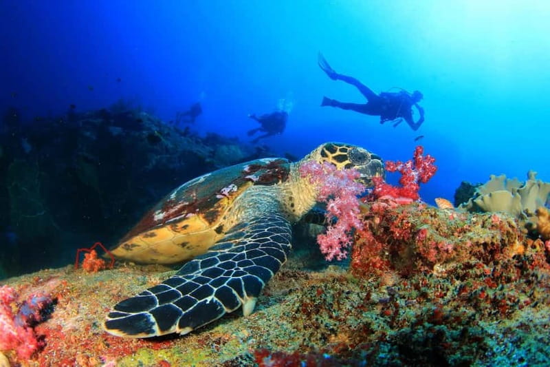 Antalya/Kemer: 2 Dives Scuba Diving Trip with Lunch - The 45-minute safety briefing at Çamyuva