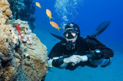 2 Dives Scuba Diving Trip with Lunch