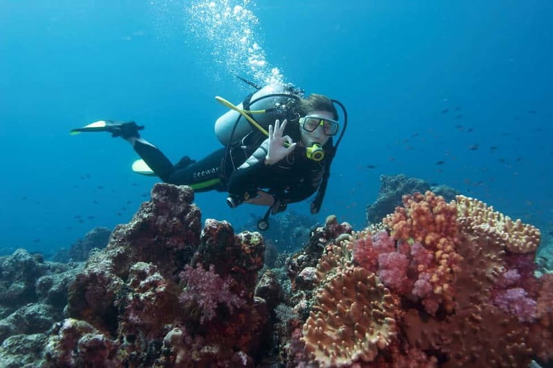 Antalya/Kemer: 2 Dives Scuba Diving Trip with Lunch - Lunch and snorkeling near Kiriş