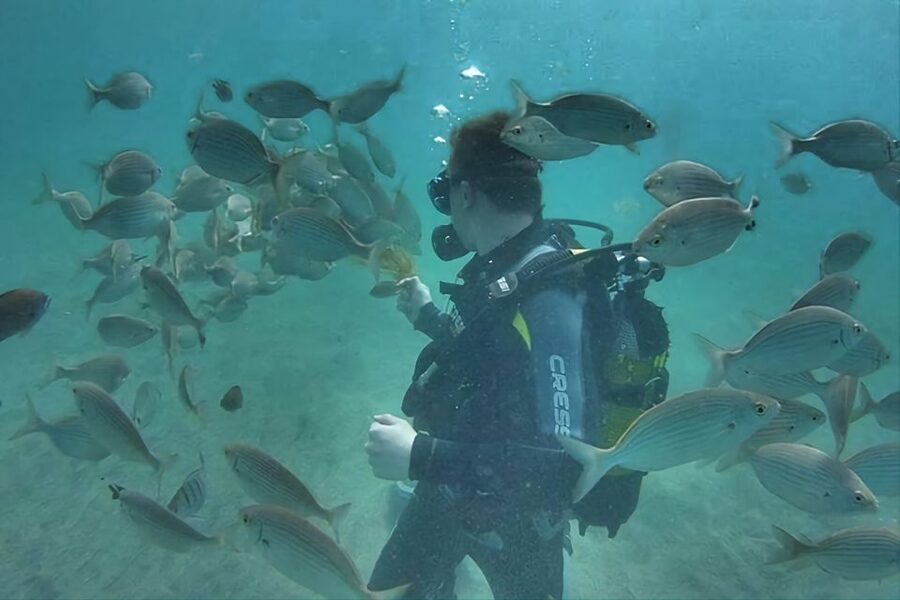 Antalya/Kemer: Scuba Diving Experience with Lunch & Pick up - Photos and videos cost extra
