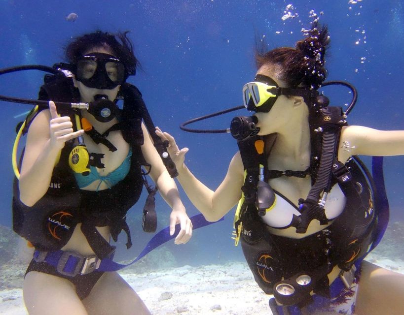 Antalya/Kemer: Scuba Diving with Pickup, Lunch, and 2 Dives - A full morning on the Mediterranean