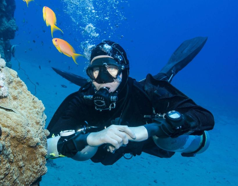 Antalya/Kemer: Scuba Diving with Pickup, Lunch, and 2 Dives - Reefs, fish, and a possible shipwreck