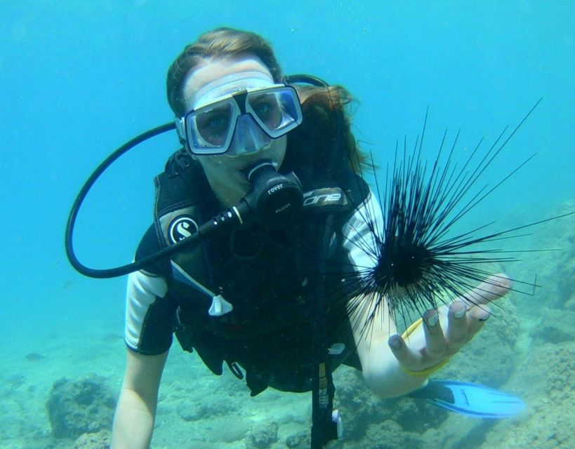 Antalya/Kemer: Scuba Diving with Pickup, Lunch, and 2 Dives - Lunch on deck, with realistic expectations