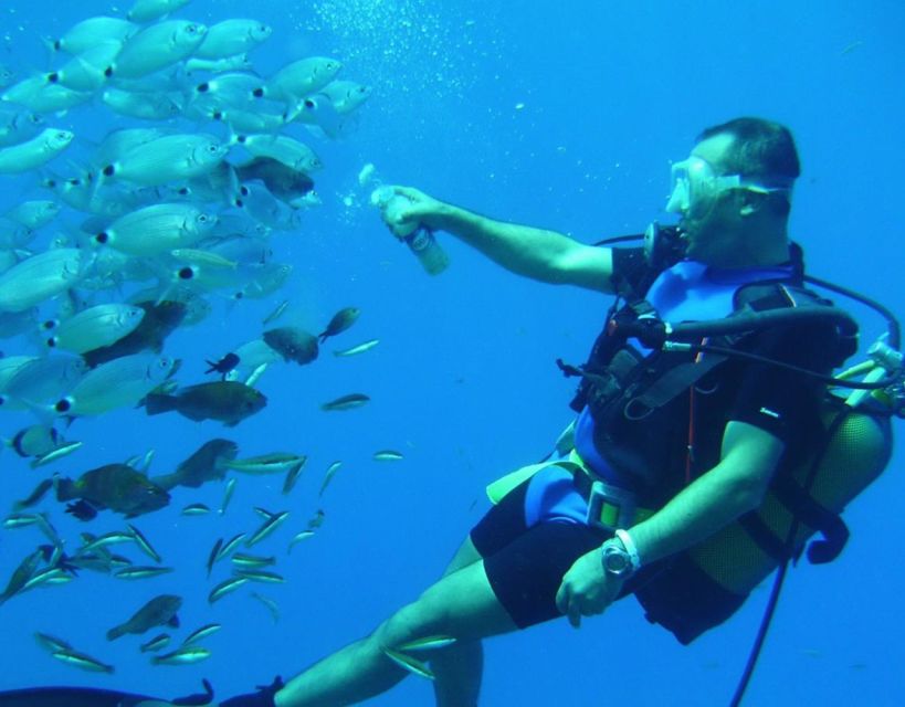 Antalya/Kemer: Scuba Diving with Pickup, Lunch, and 2 Dives - Should you book this Antalya scuba trip?