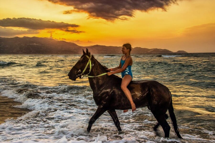 Antalya: Lara Beach & Forrest Horse Riding Safari - Key points to know before you book