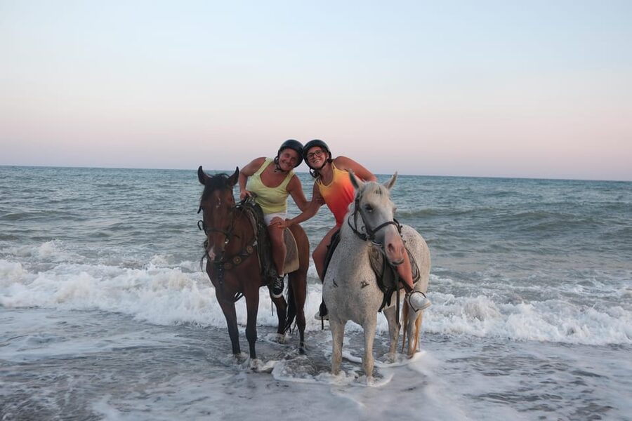 Antalya: Lara Beach & Forrest Horse Riding Safari - One hour through trees, farms, and open paths