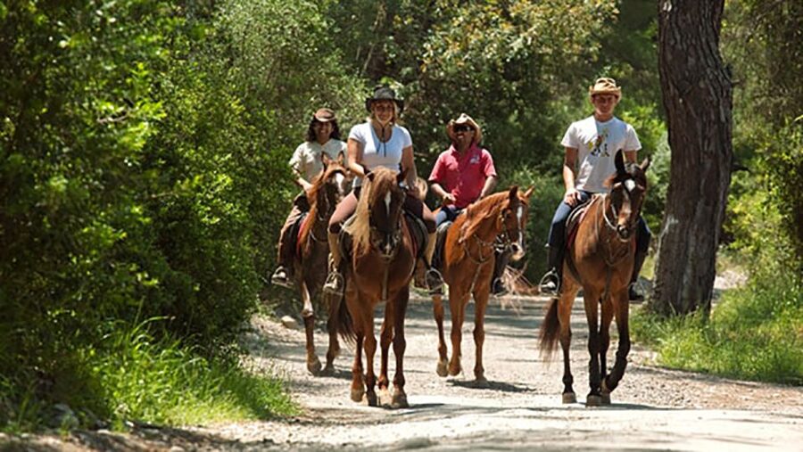 Antalya: Lara Beach & Forrest Horse Riding Safari - Guides who focus on nervous beginners