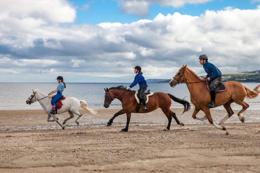 Antalya: Lara Beach & Forrest Horse Riding Safari - What $58 buys you