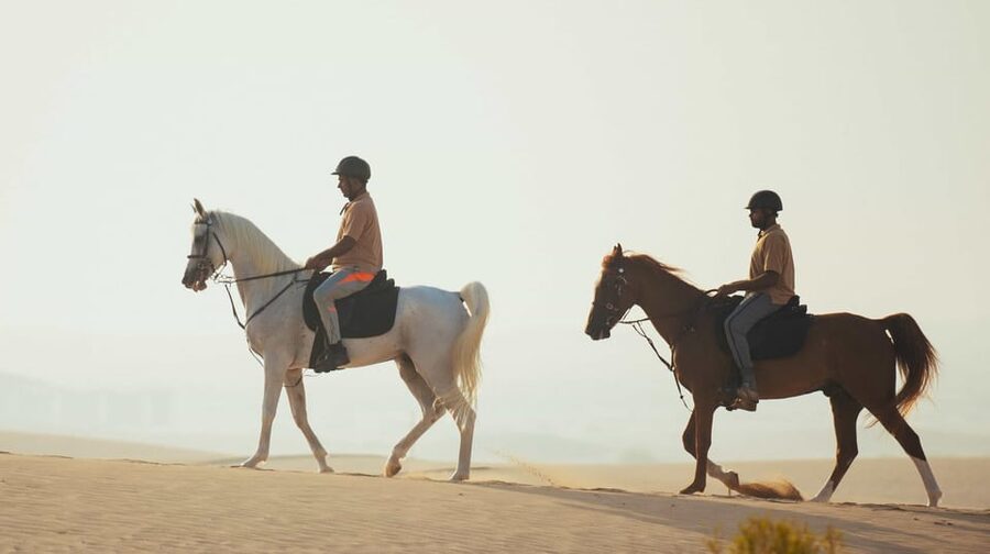 Antalya: Lara Beach & Forrest Horse Riding Safari - Who will enjoy this ride most