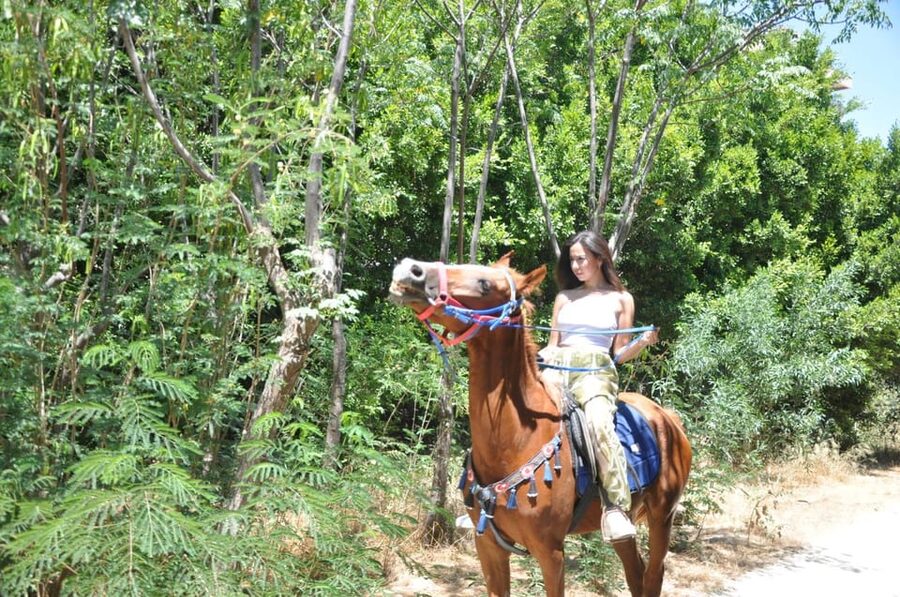 Antalya: Lara Beach & Forrest Horse Riding Safari - Practical booking advice for Lara