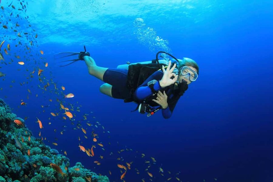 Antalya Scuba Diving Adventure with Expert Diver Option - Aquarium Bay sets the tone