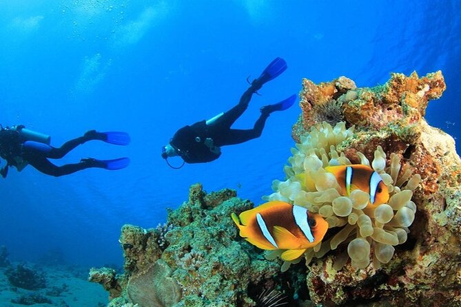 Antalya Scuba Diving With Transfer From Belek,Lara,Kemer Hotels - The first underwater session