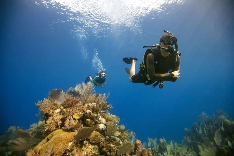 City of Side: Scuba Diving Underwater Museum with Pickup - Side’s underwater museum changes the usual beach day