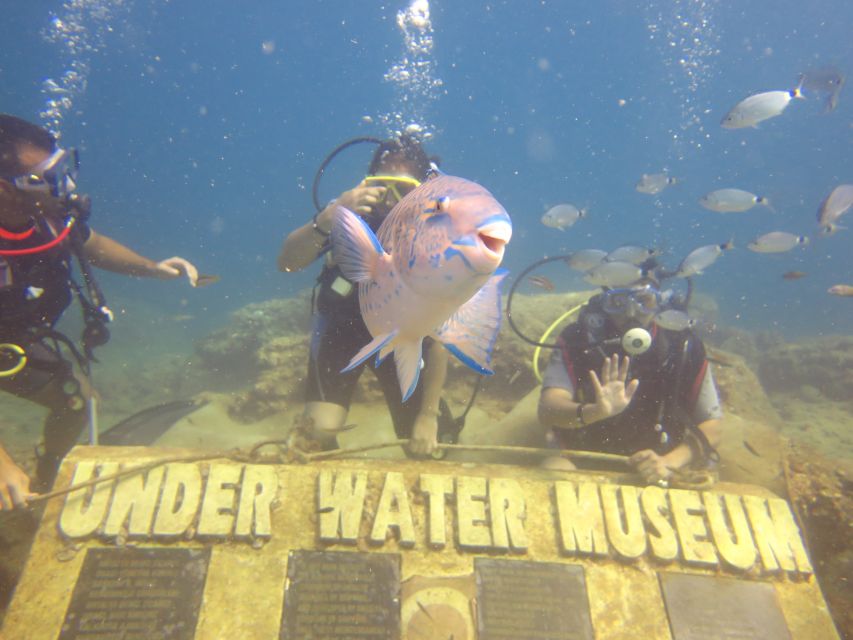 City of Side: Scuba Diving with Lunch - Seeing the Submarine Museum
