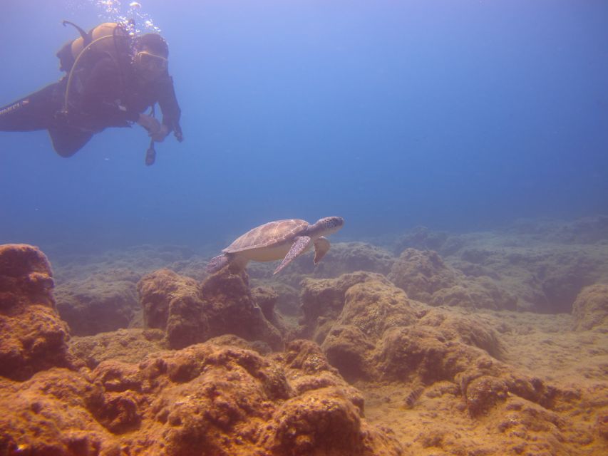 City of Side: Underwater Museum Scuba Diving Visit - Should You Book Seven Tours?