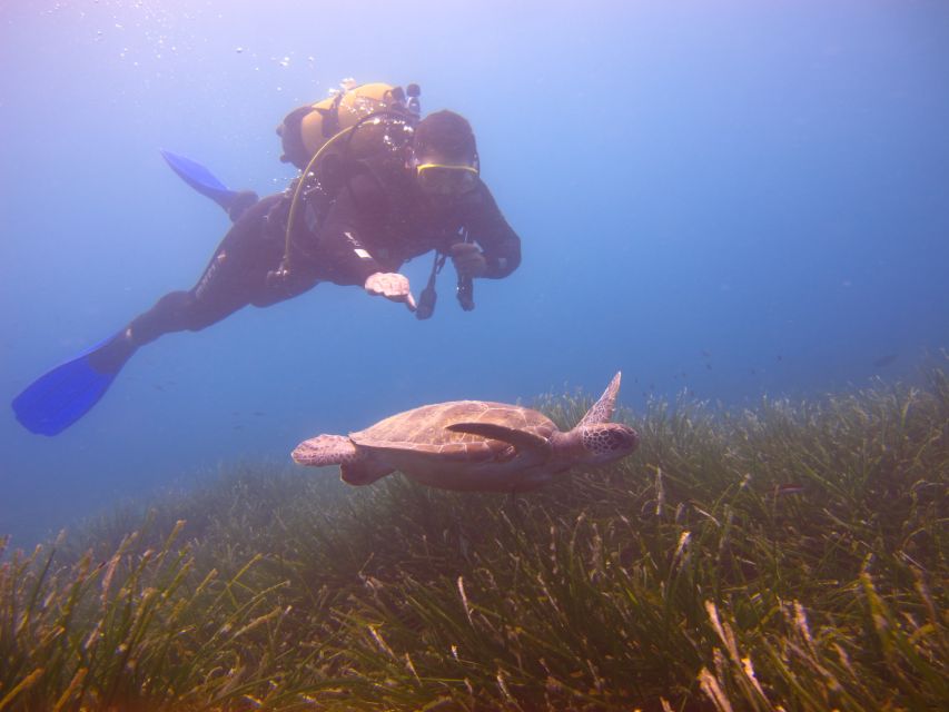 City of Side: Underwater Museum Scuba Diving Visit - What the First 20 Minutes Feel Like