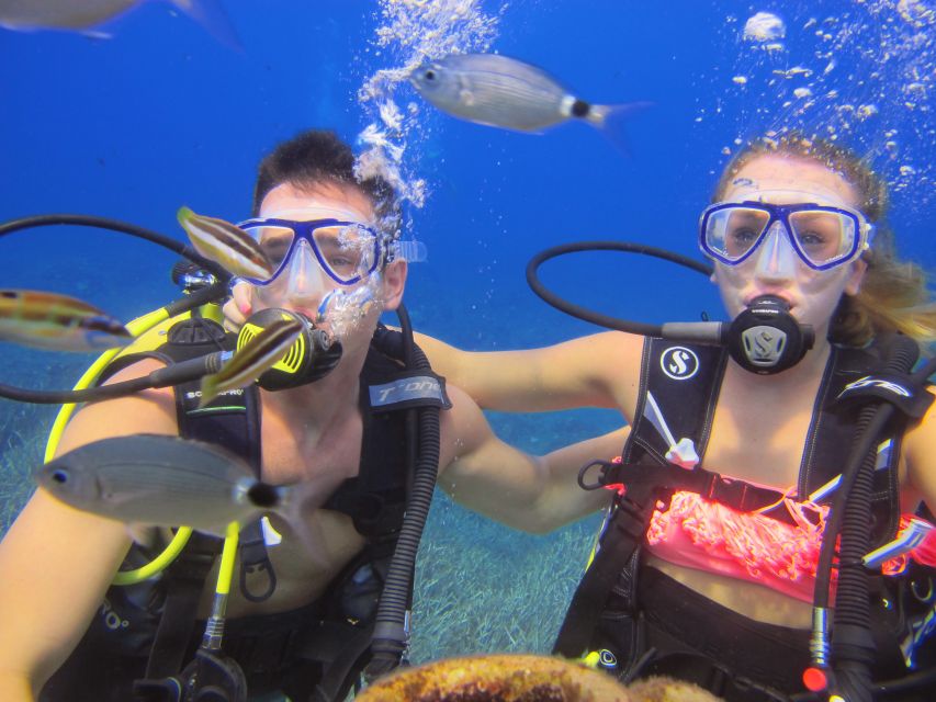 City of Side: Underwater Museum Scuba Diving Visit - The Second Session Shows More Than the First