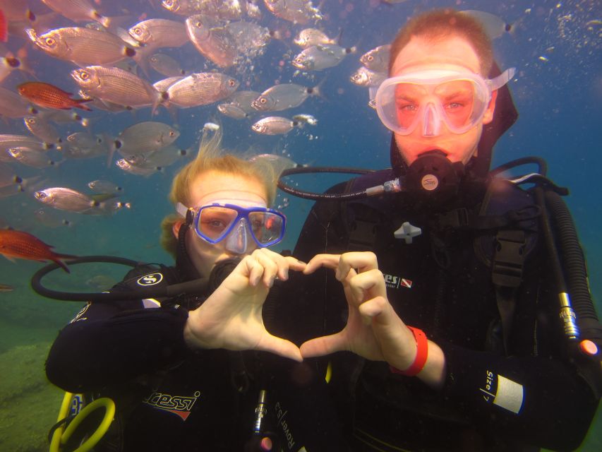 City of Side: Underwater Museum Scuba Diving Visit - Is $50 Good Value for a Full Day?