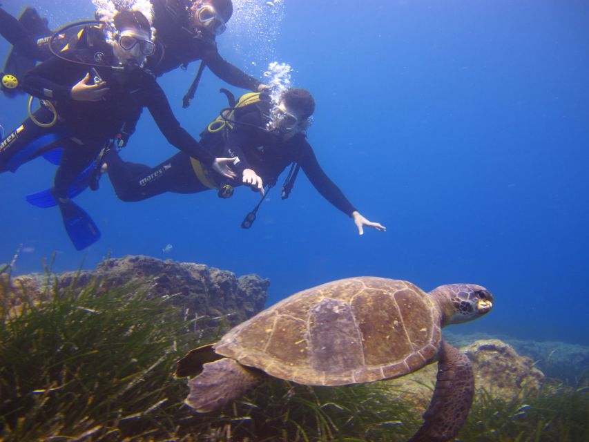 City of Side: Underwater Museum Scuba Diving Visit - Who Will Enjoy This Underwater Visit Most?