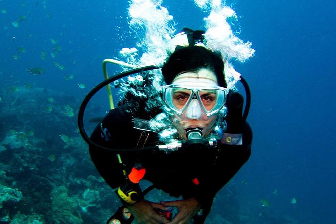 Diving in the Mediterranean sea - Equipment, photos, and extra charges