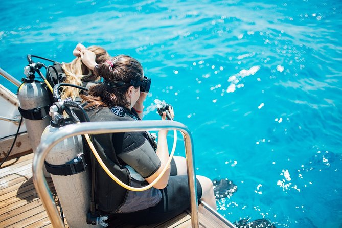 Diving in the Mediterranean sea - Learning the basics before entering the water