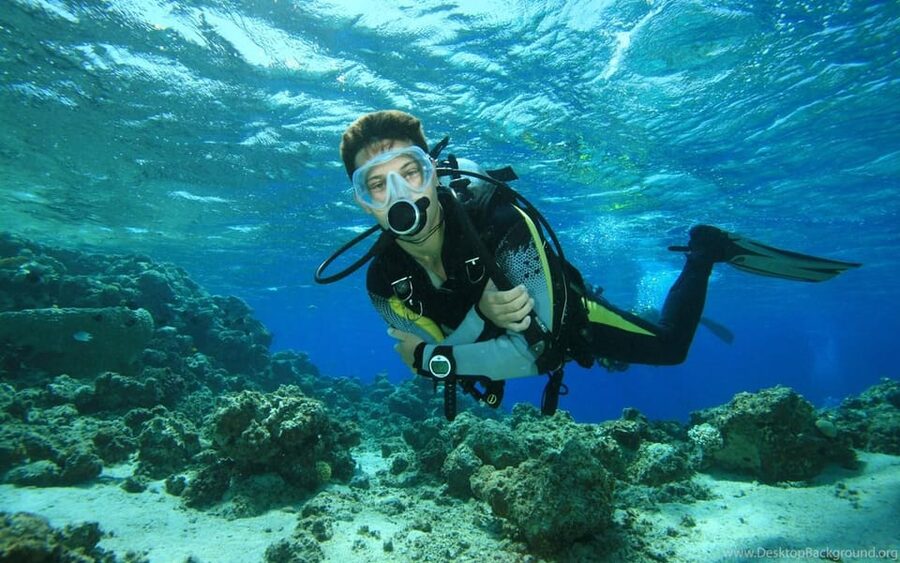 Diving Tour from Alanya & Side with Lunch - 2 Dives Included - Key points before you book