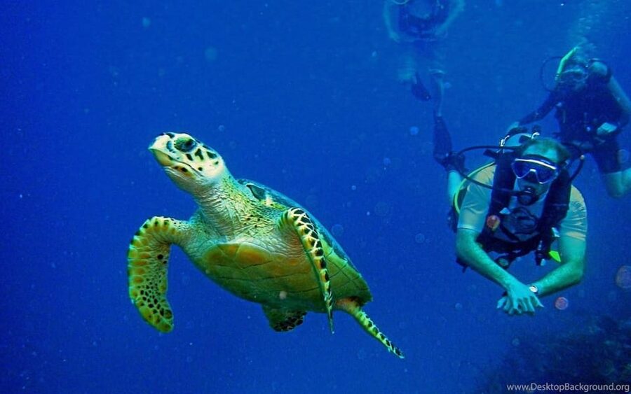 Diving Tour from Alanya & Side with Lunch - 2 Dives Included - Lunch and a rest on deck