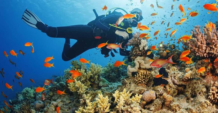 Diving Tour from Alanya & Side with Lunch - 2 Dives Included - The 12-meter descent