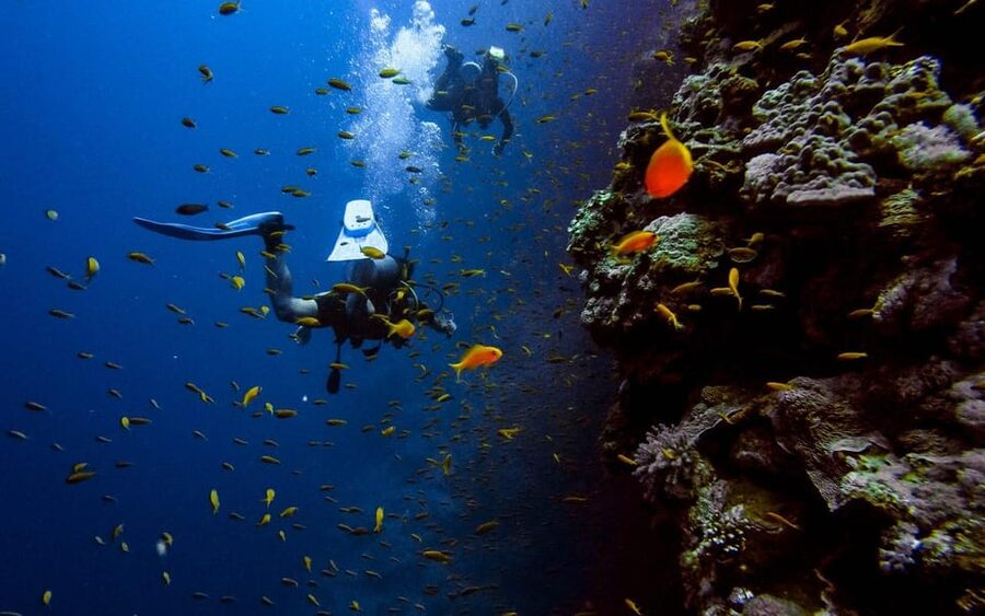 Diving Tour from Alanya & Side with Lunch - 2 Dives Included - How beginner-friendly is the instruction?