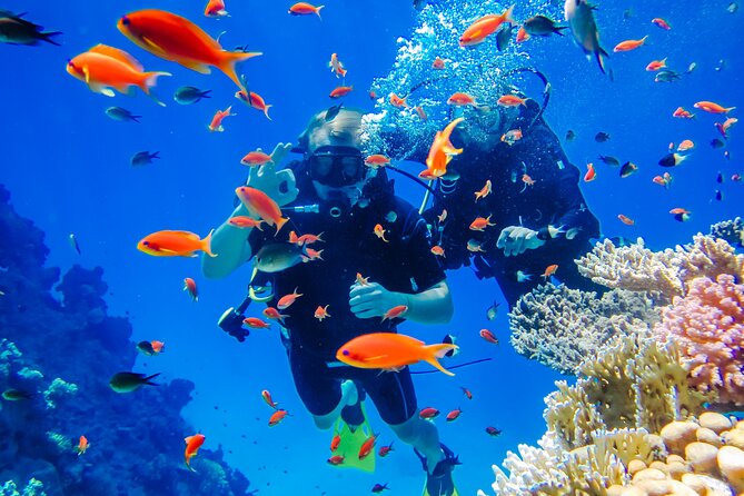 Exciteful Scuba Diving Experience in Antalya - Key points to know before booking