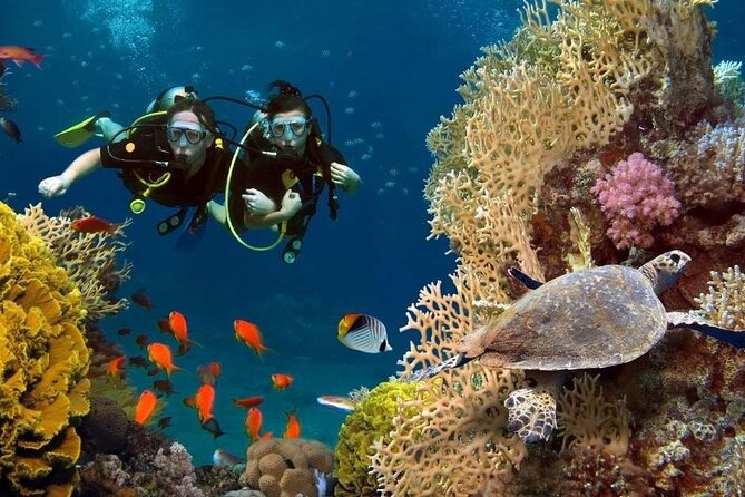 Exciteful Scuba Diving Experience in Antalya - What the Antalya outing is really like