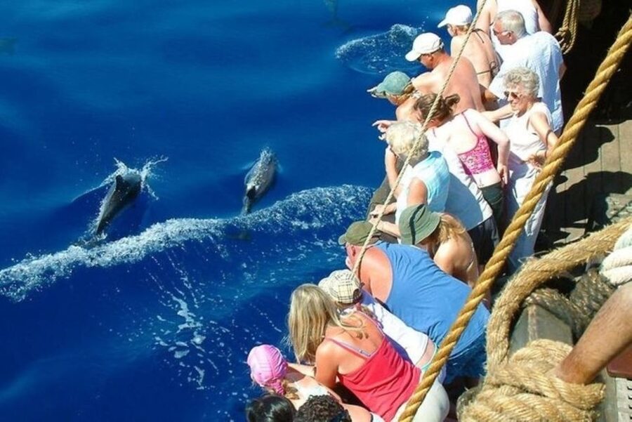 Explore Alanya's Beauty Catamaran Boat Tour - Lunch on board, with soft drinks included