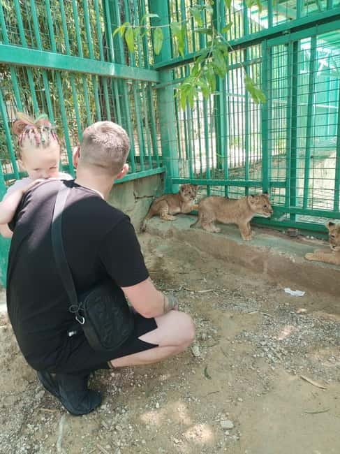 From Alanya: Lion Safari & Green Canyon Splash Feast w/Lunch - What the $27 price really covers