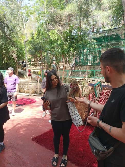 From Alanya: Lion Safari & Green Canyon Splash Feast w/Lunch - The real character of this Manavgat day out