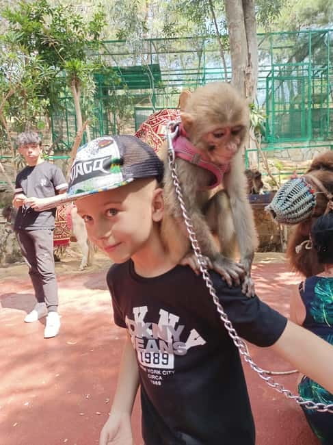 From Alanya: Lion Safari & Green Canyon Splash Feast w/Lunch - How the driving affects the experience