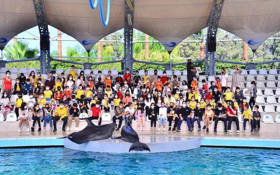 From Belek: Dolphin Show with Transfers - Who will enjoy this short Antalya activity