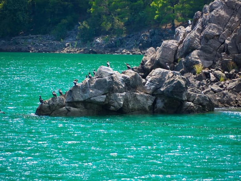 From Belek: Green Canyon Boat Trip with Lunch and Drinks - Looking for the brown fish owl