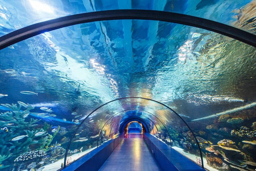 From City of Side: Antalya Aquarium Tour, Ticket & Transfer - Key points to know before booking