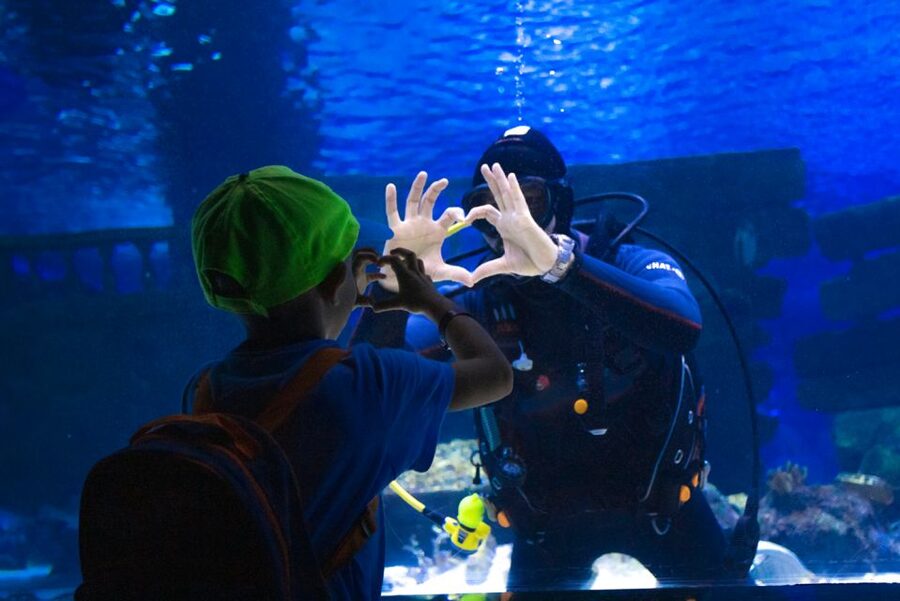 From City of Side: Antalya Aquarium Tour, Ticket & Transfer - Inside Antalya Aquarium’s 131-meter tunnel