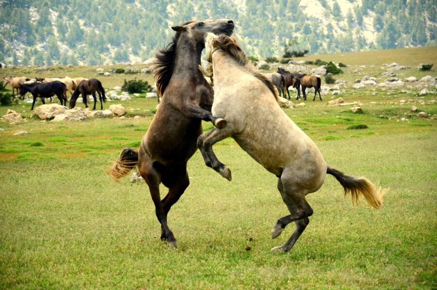 From city of Side: Ormana Village Day Tour with Lunch - From Side to the Taurus Mountains